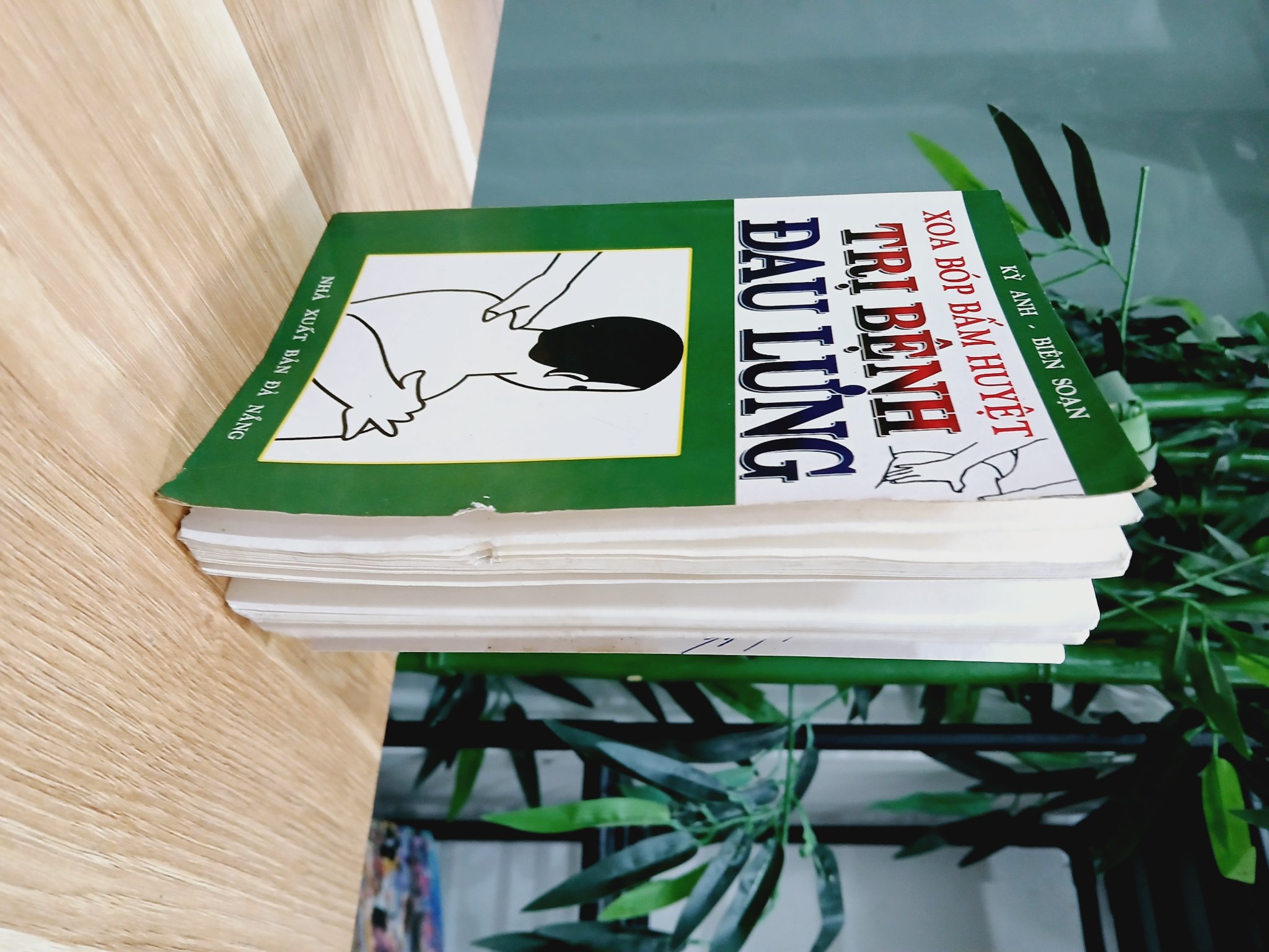 Xoa bóp bấm huyệt- trị bệnh đau lưng- Kỳ Anh