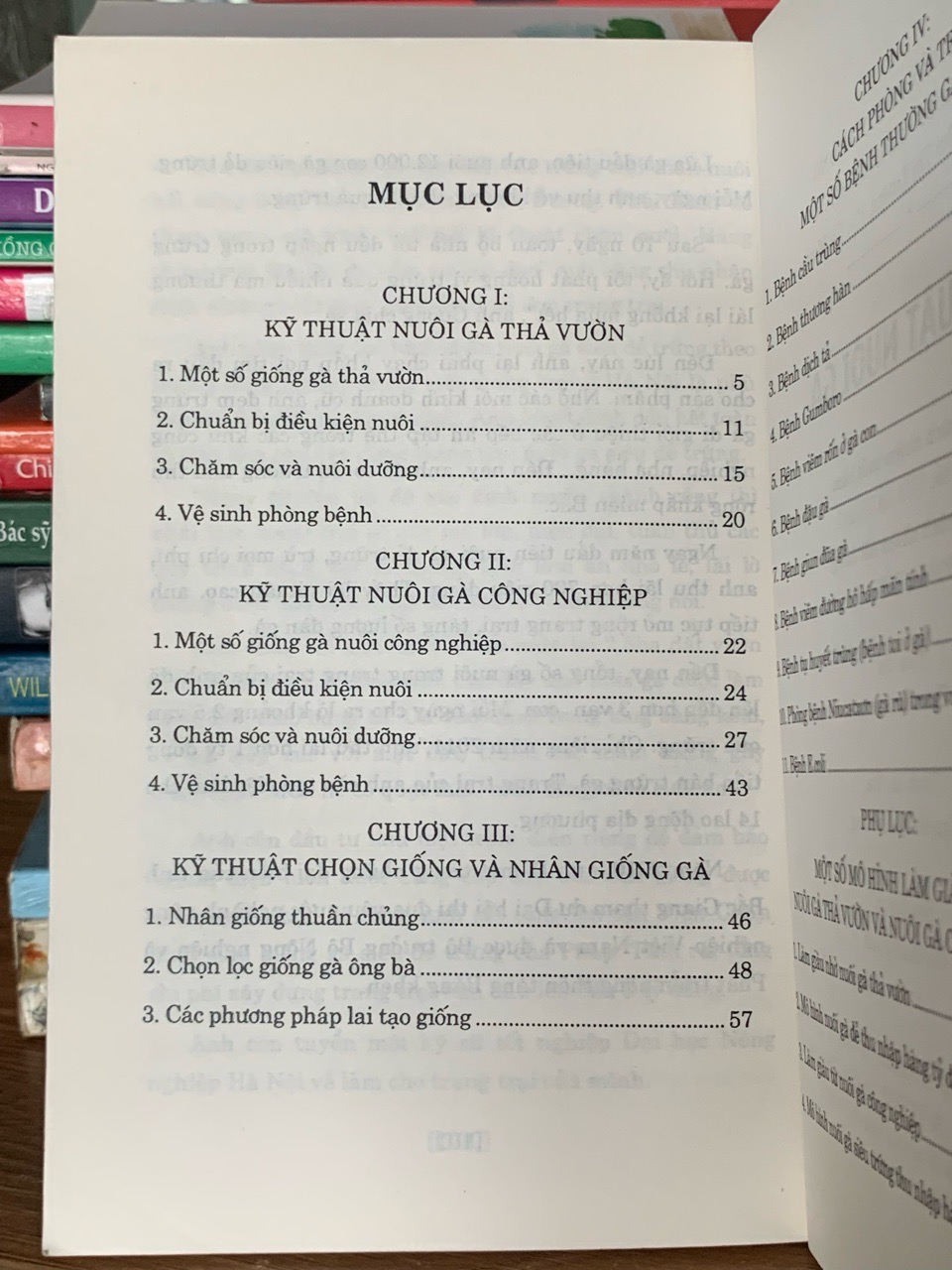 Kỹ thuật nuôi gà – Hoàng Tiến Lợi