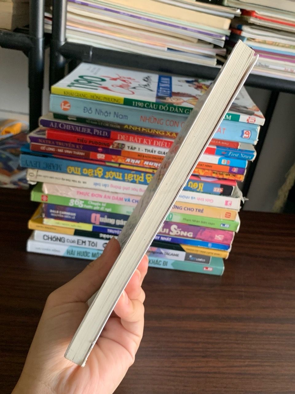 Chênh vênh 25 – Nguyễn Ngọc Thạch