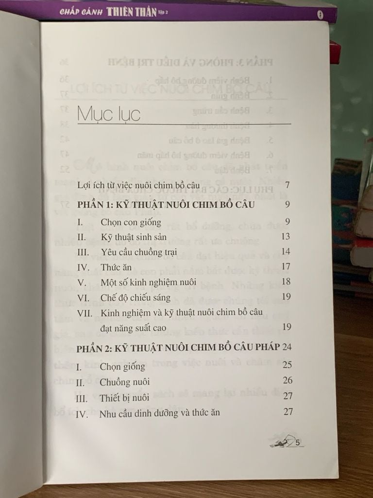 Kỹ thuật nuôi bồ câu – Nguyễn Thị Hồng - Ảnh thực tế 4