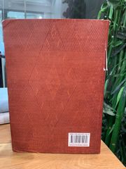 Kể chuyện Hoàng Hoa Thám - Chu Ngọc Phan - ảnh 3