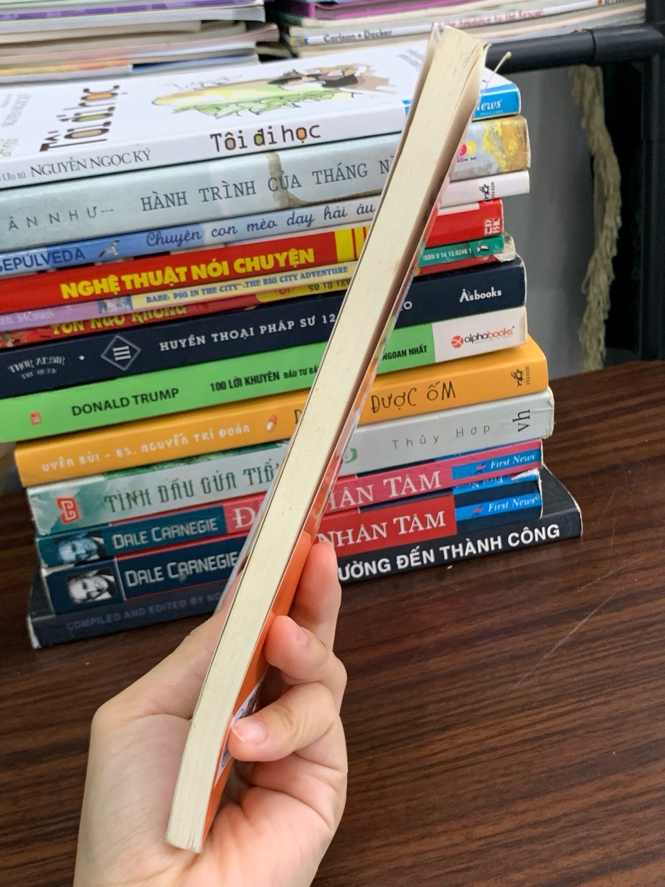 Những Câu Chuyện Đi Suốt Cuộc Đời Trẻ Thơ – Dương Minh Hảo