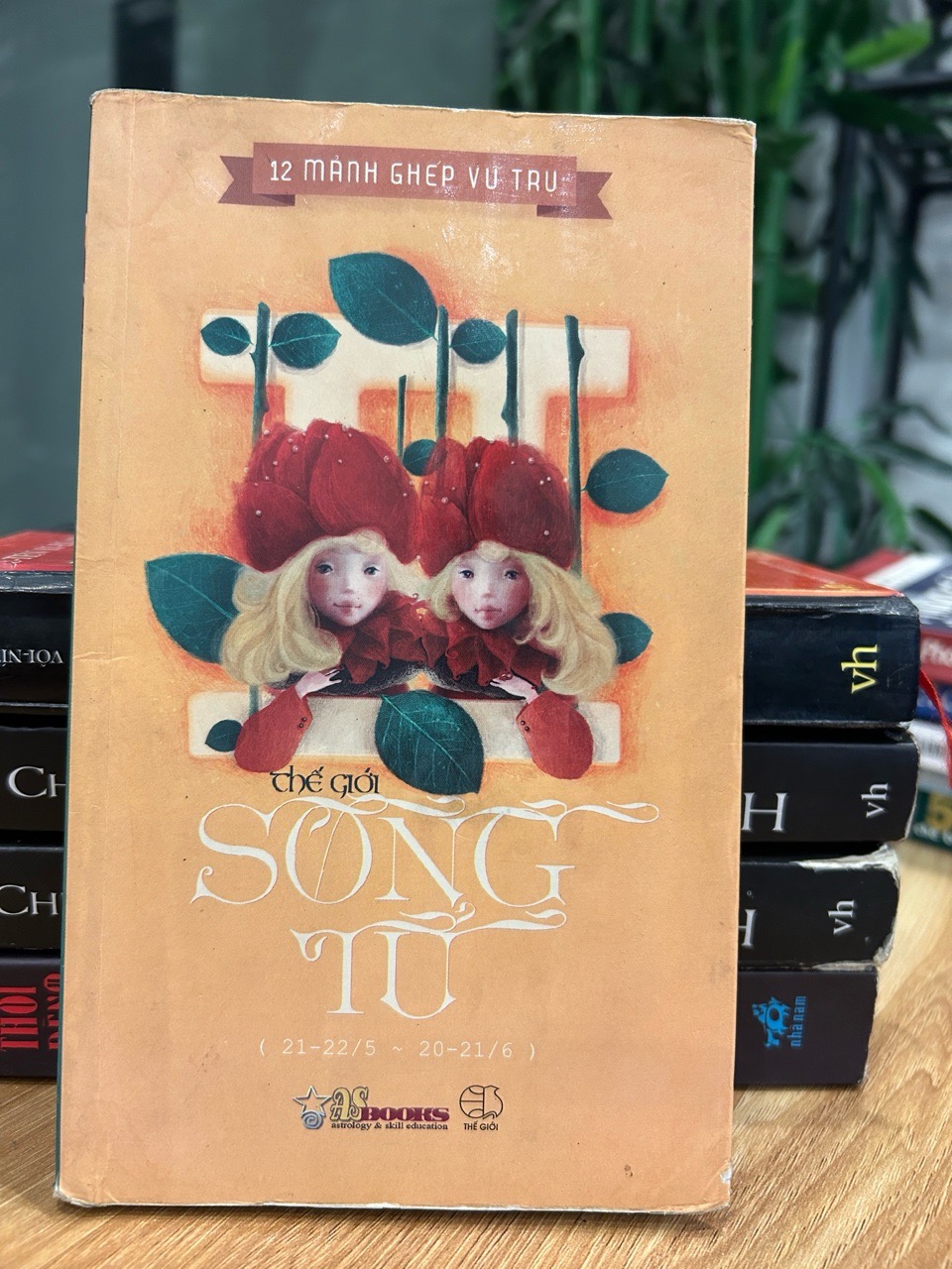 Thế giới Song Tử (12 mảnh ghép vũ trụ) – Tuyển tập