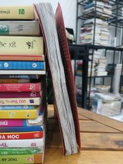 Nhật ký chú bé nhút nhát – Jeff Kinney - ảnh 4