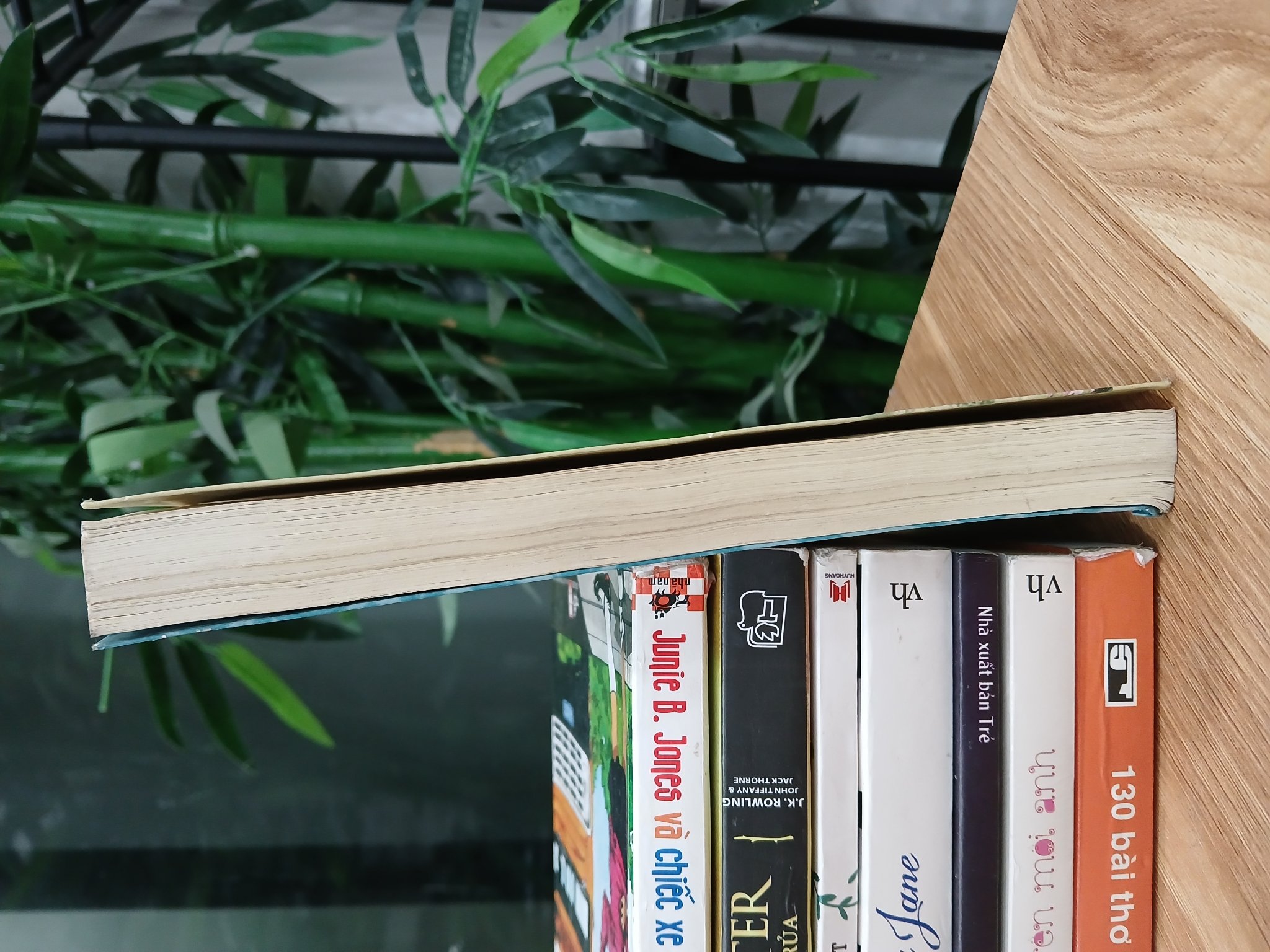 Lâu chủ vô tình -- Thế hậu tướng quân – ( Nhất Độ Quân Hoa )