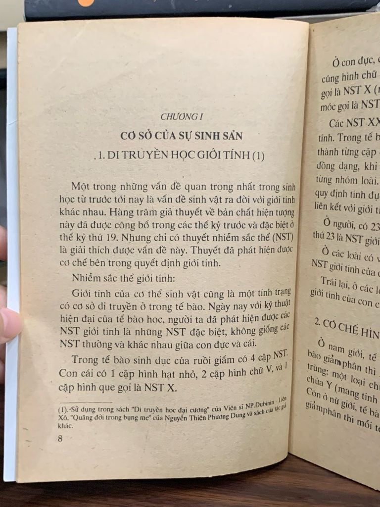 Sinh con gái con trai như ý muốn- Linh Sơn - Ảnh thực tế 4