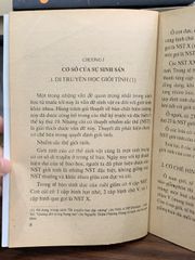 Sinh con gái con trai như ý muốn- Linh Sơn - ảnh 4