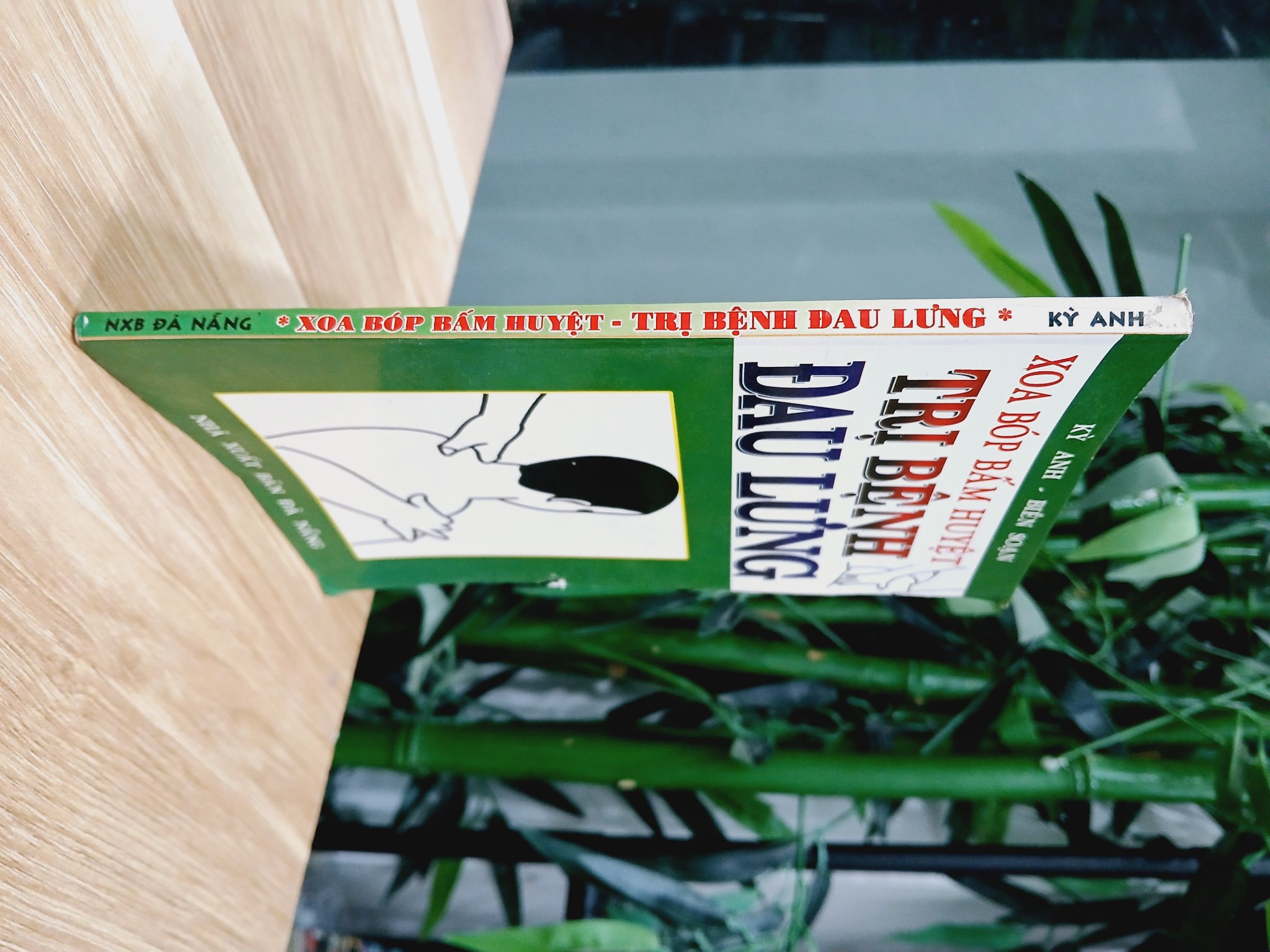 Xoa bóp bấm huyệt- trị bệnh đau lưng- Kỳ Anh