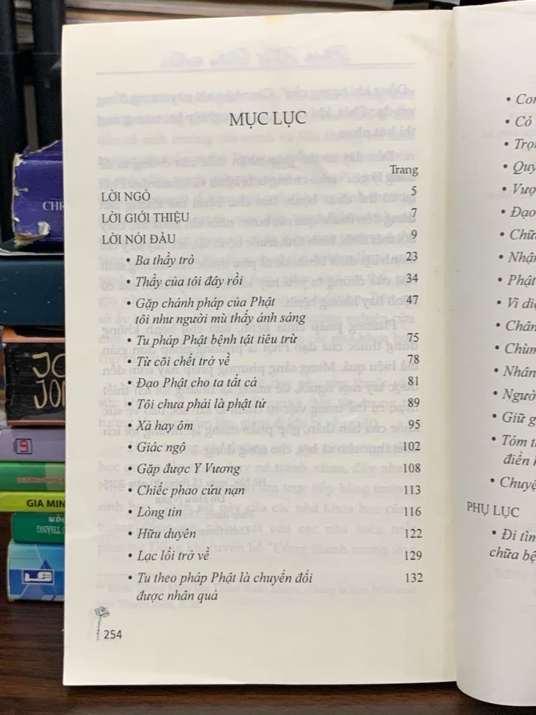 Đạo Phật Pháp Môn và Đạo Phật Nguyên Chất - Thích Nhật Từ - Ảnh thực tế 5