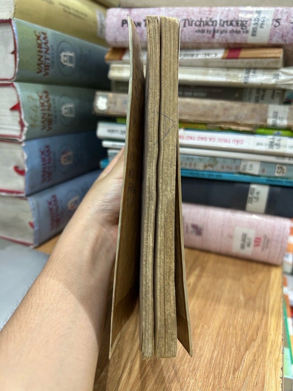 Cửu Trùng Đồ (Tập 2)