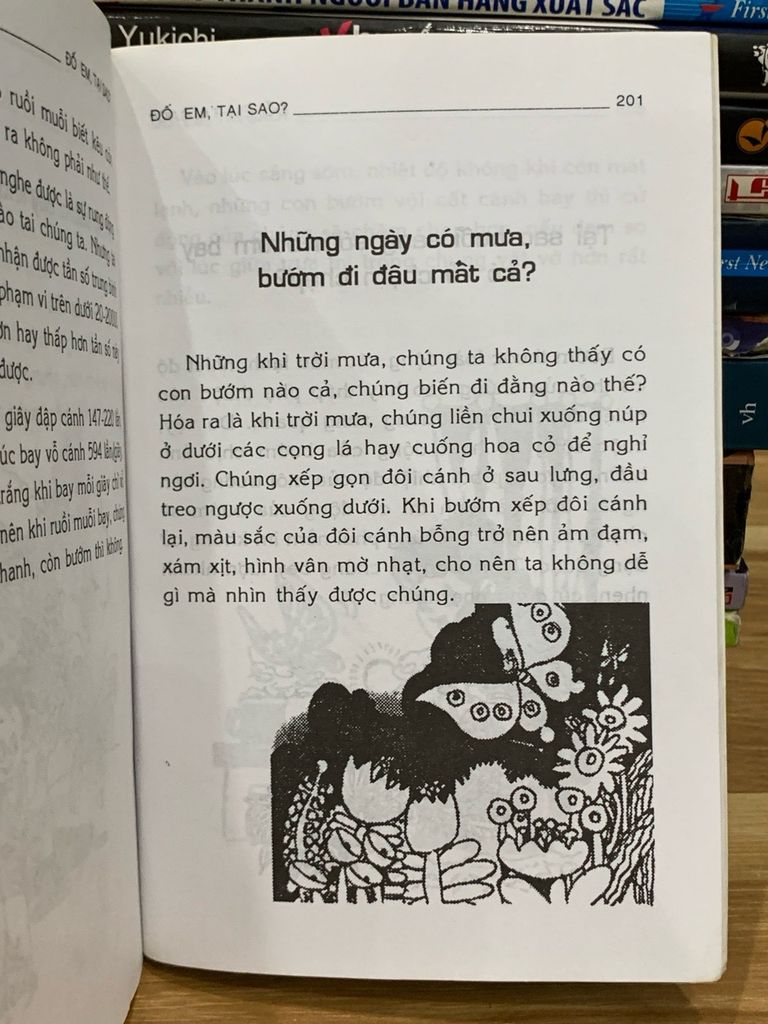 Đố em, tại sao...? – Đường Phúc Bình - Ảnh thực tế 5