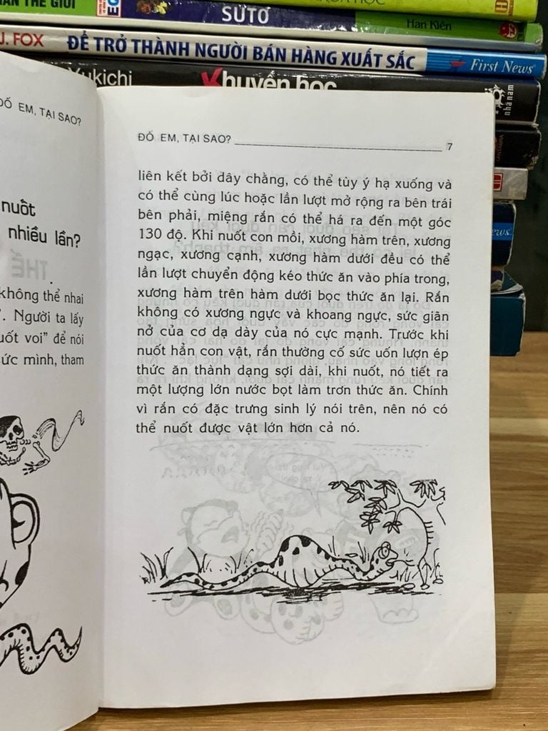 Đố em, tại sao...? – Đường Phúc Bình - Ảnh thực tế 4