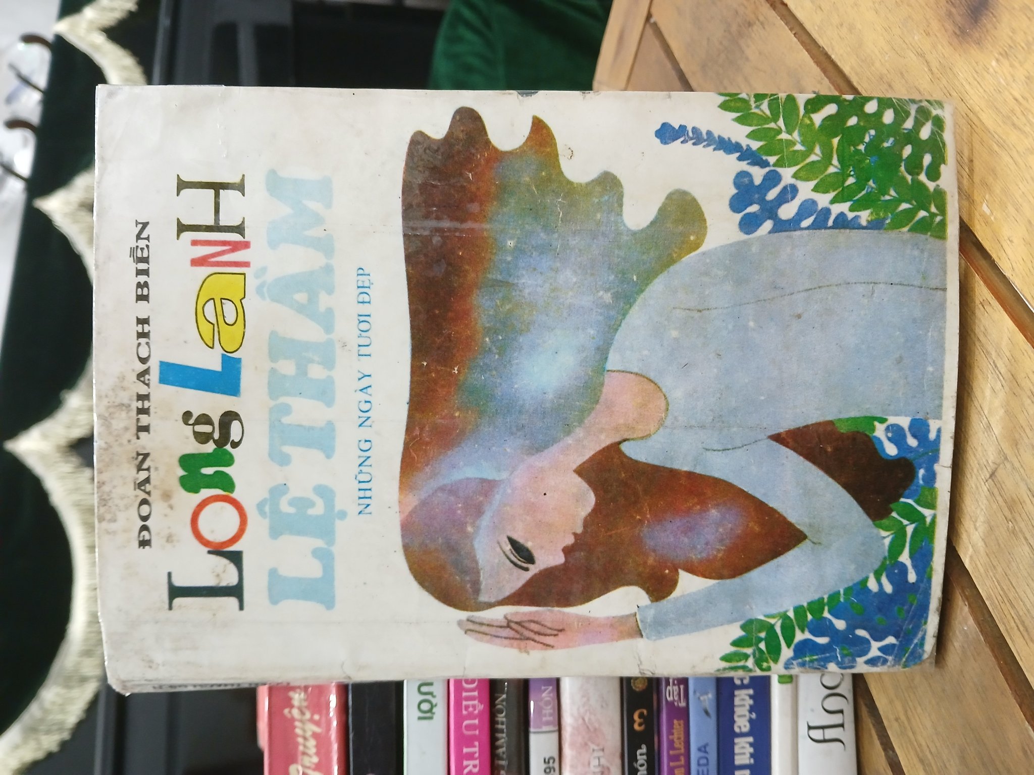 Long lanh lệ thầm – Những ngày tươi đẹp — Đoàn Thạch Biền