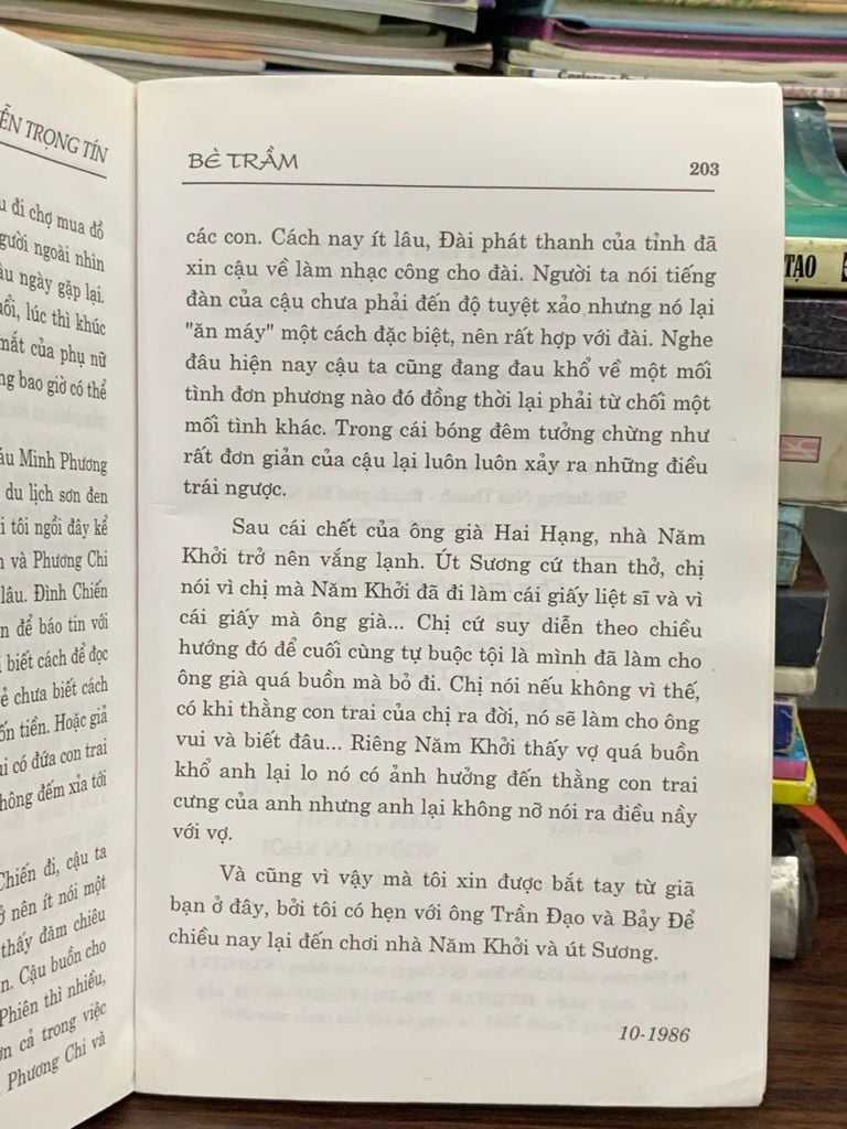 bè trầm – tác giả: Nguyễn Trọng Tín - Ảnh thực tế 5