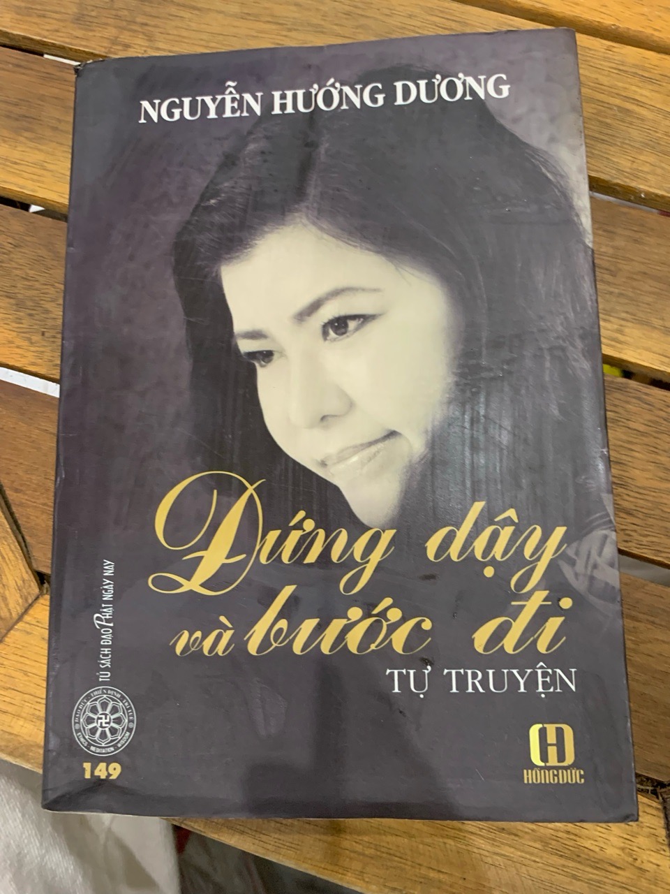 đứng dậy và bước đi -Nguyễn Hướng Dương