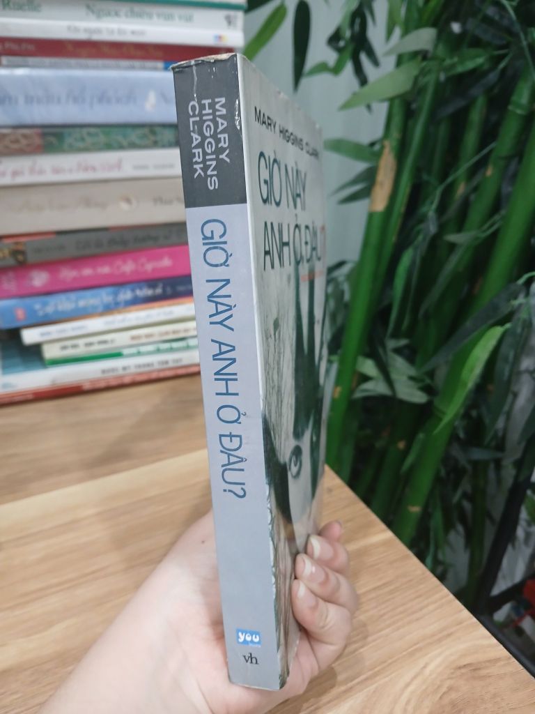 Giờ Này Anh Ở Đâu? Mary Higgins Clark - Ảnh thực tế 3