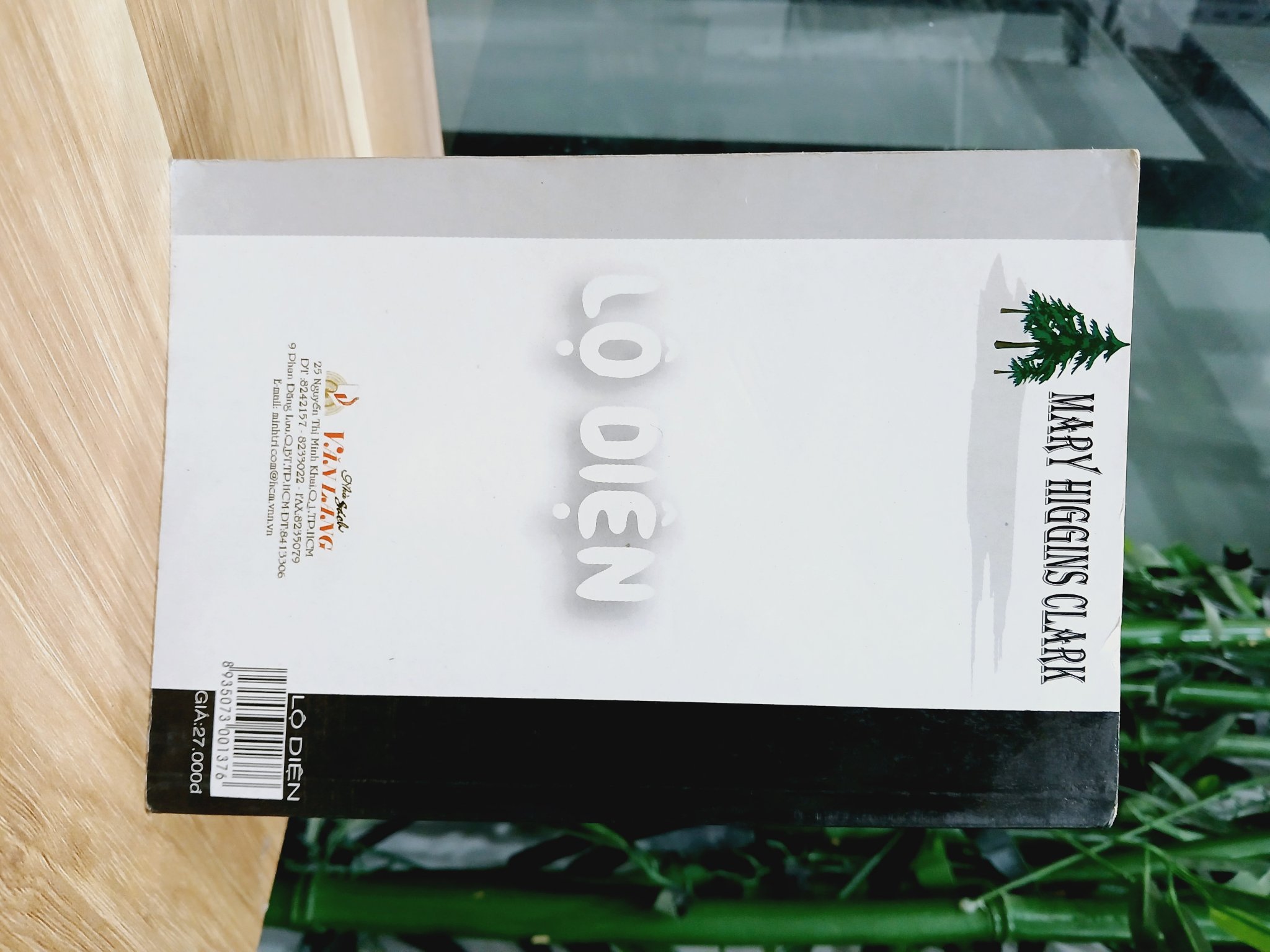 Lộ Diện- Mary Higgins clark