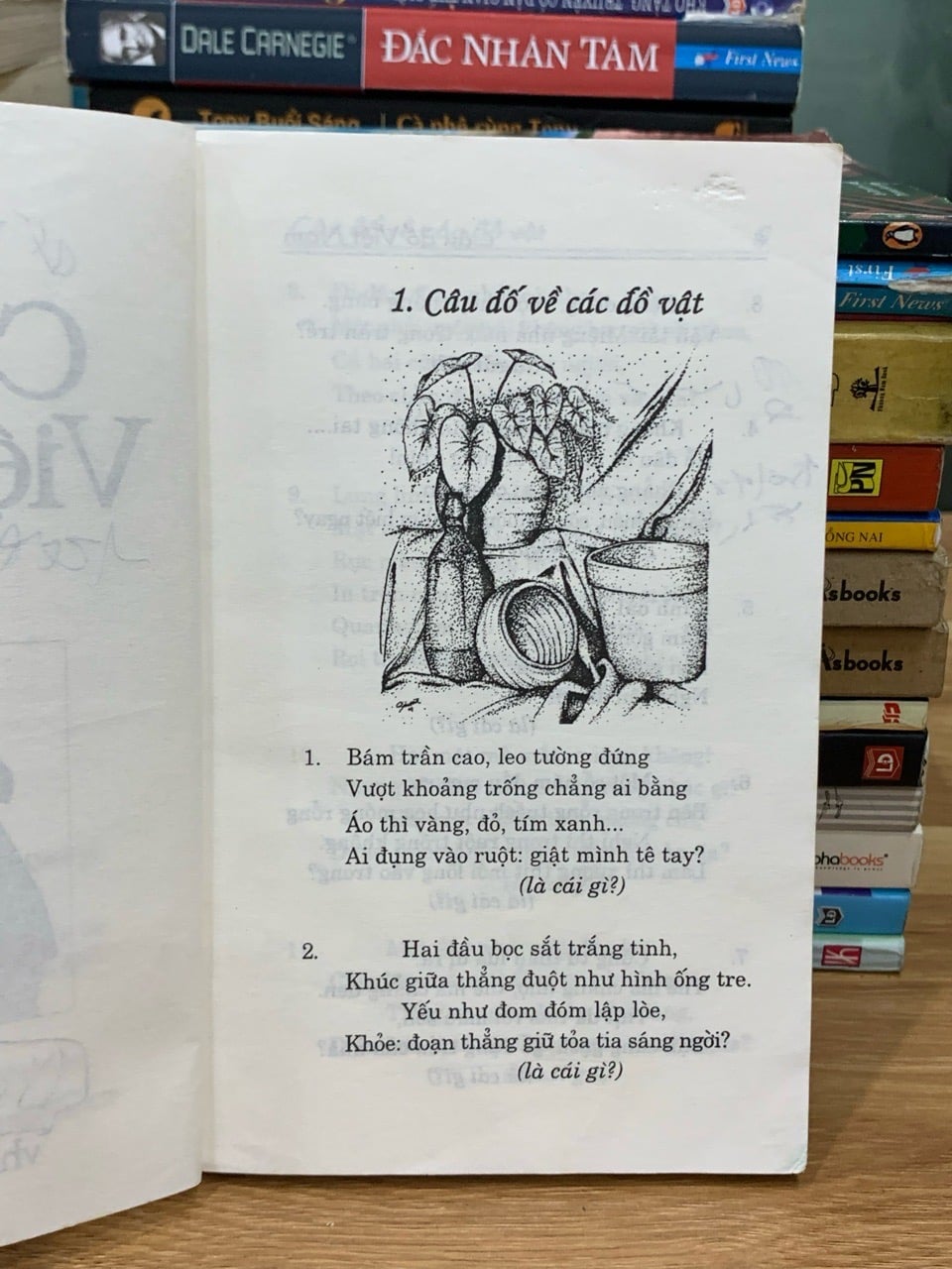 Câu đố Việt Nam – Ngọc Hà