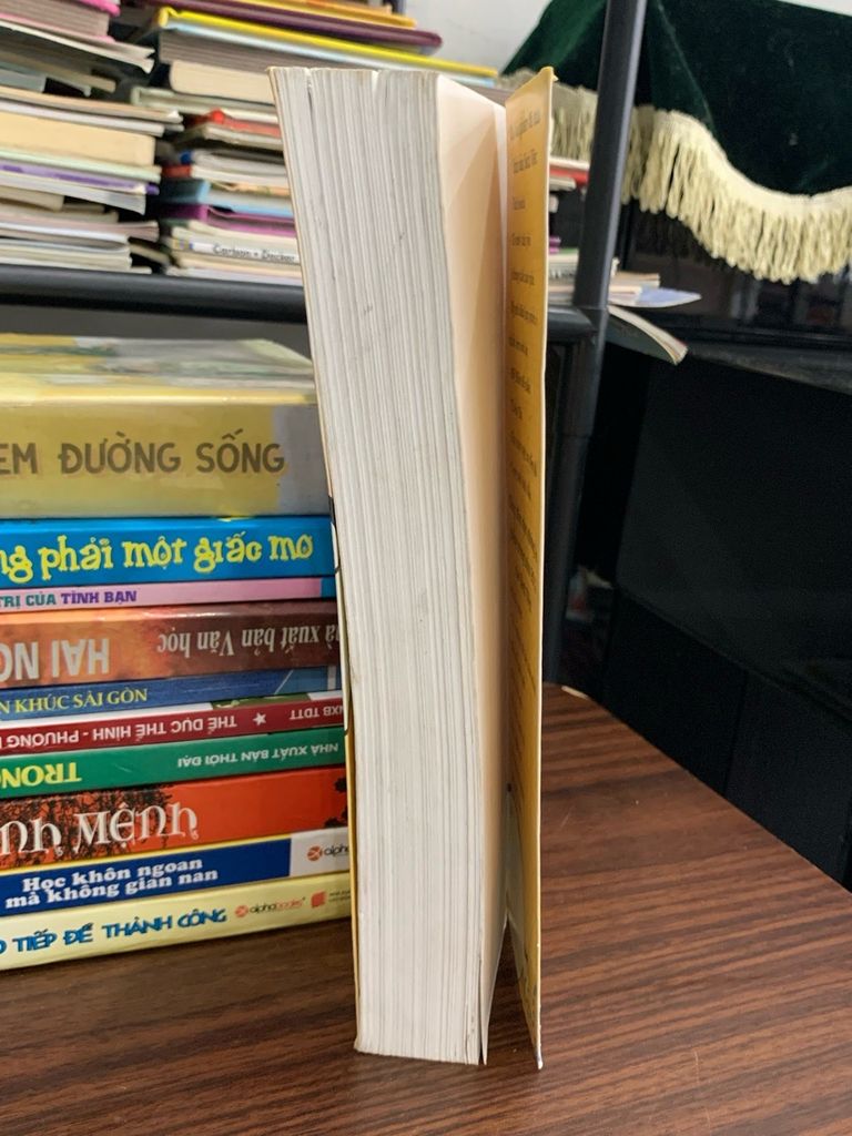 Bảo vật giang hồ – Tô Tố - Ảnh thực tế 4