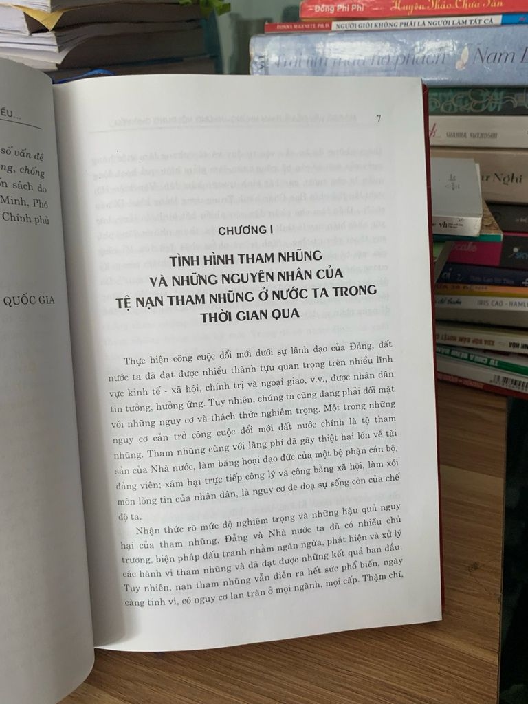 Một số vấn đề về tham nhũng - Ảnh thực tế 7