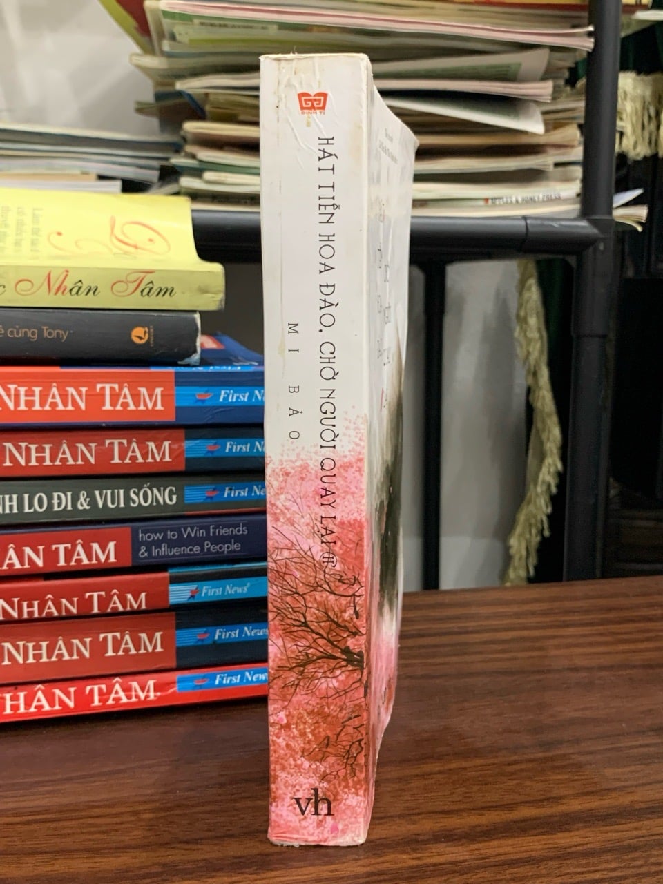 HÁT TIỄN HOA ĐÀO. CHỜ NGƯỜI QUAY LẠI II- Mi Bảo