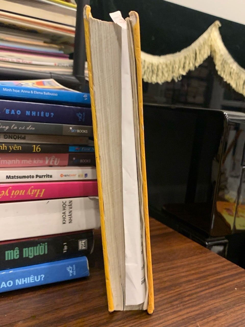 Không gia đình – Hector Malot