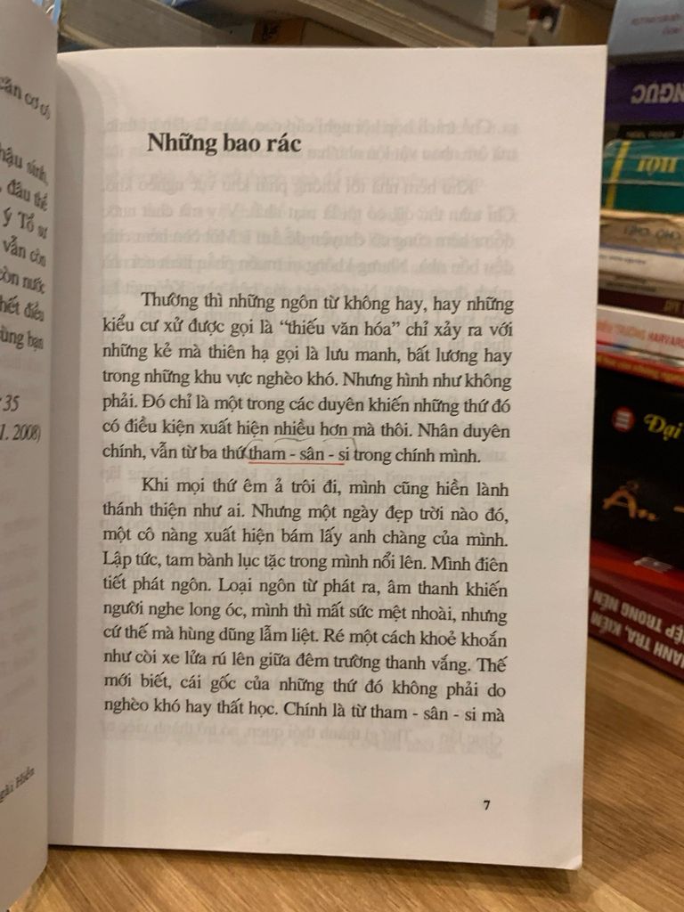 Ý tổ sư trên đầu ngọn cỏ -Chân Hiền Tâm - Ảnh thực tế 4