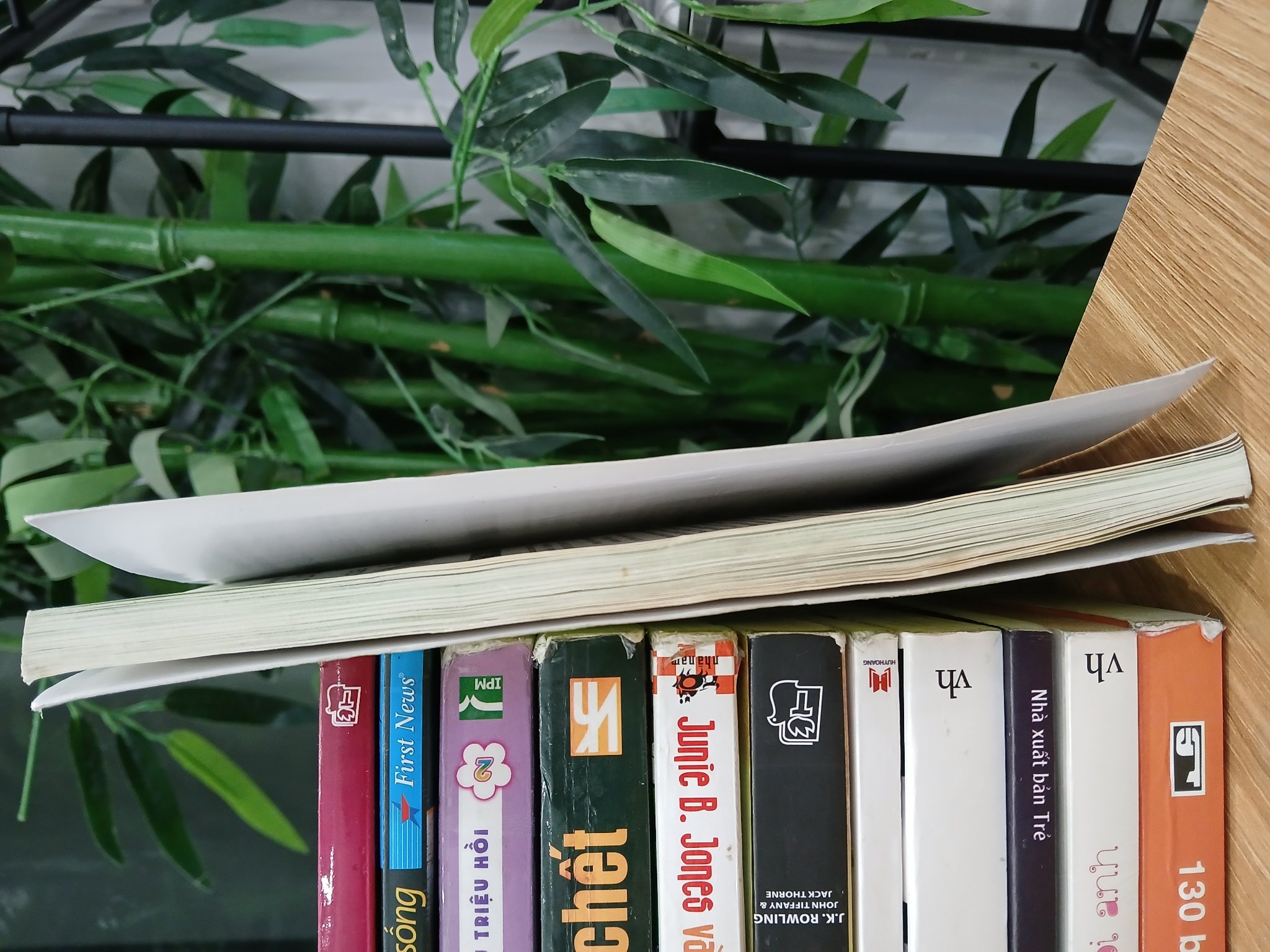 Good Luck – Bí mật của May Mắn – Alex Rovira & Fernando Trías de Bes