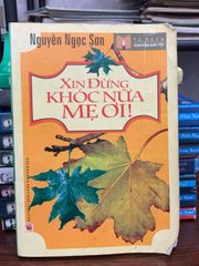 Xin đừng khóc nữa mẹ ơi!- Nguyễn Ngọc Sơn - ảnh 3