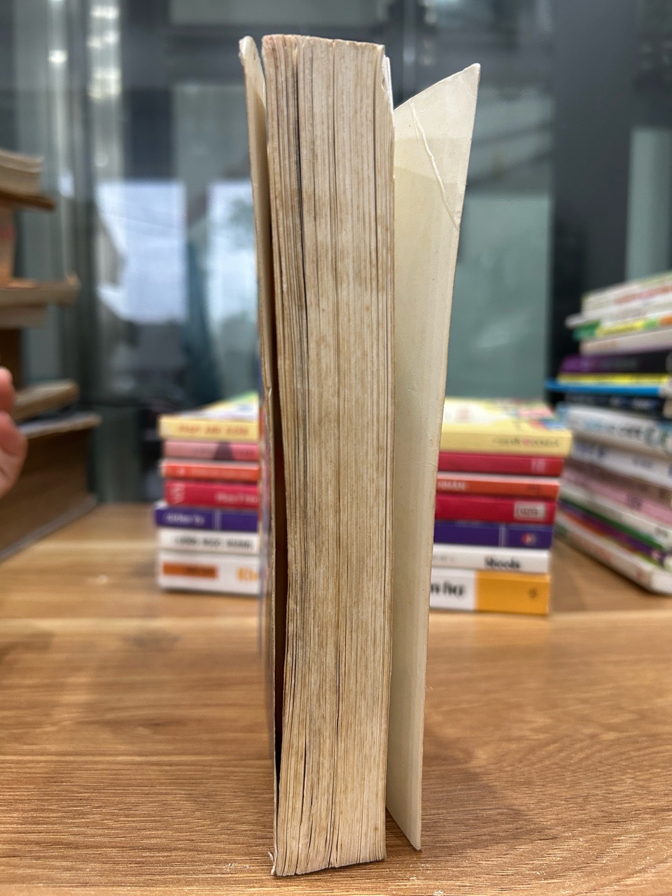 Liêu trai chí dị- Đại Lãn