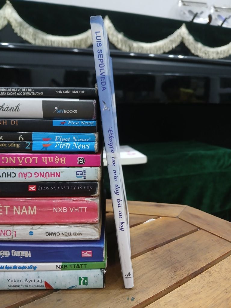 Chuyện con mèo dạy hải âu bay — Luis Sepúlveda - Ảnh thực tế 3