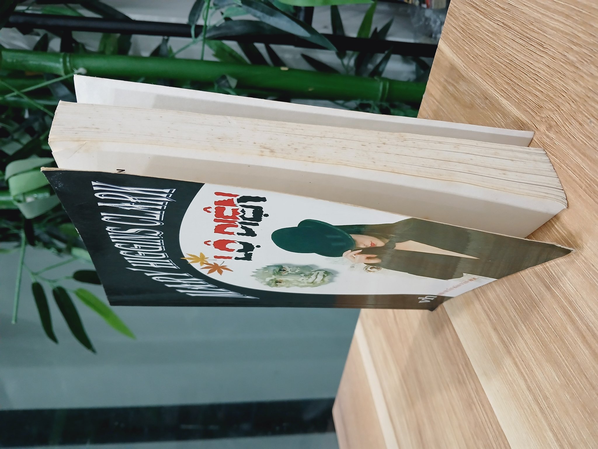 Lộ Diện- Mary Higgins clark