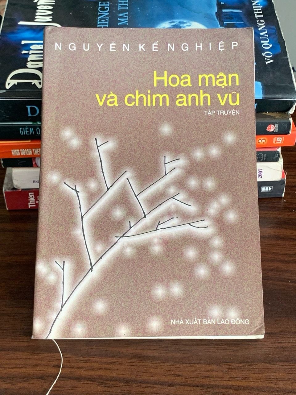 Hoa mận và chim anh vũ – Nguyễn Kế Nghiệp