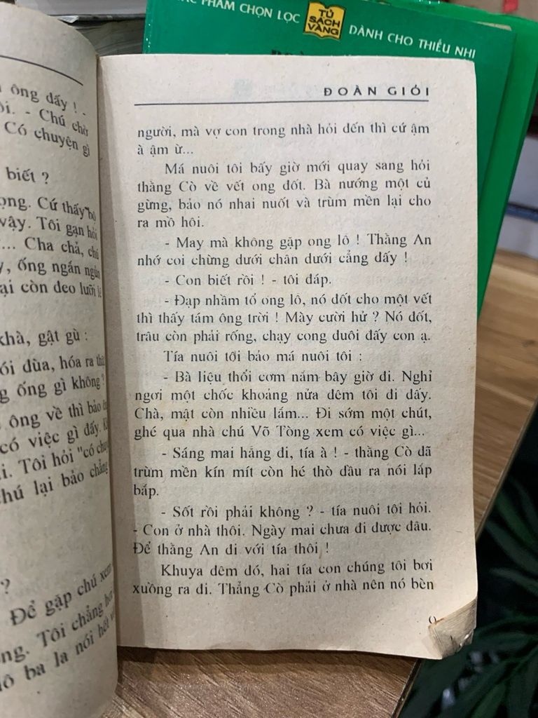 Bộ Sách Đất Rừng Phương Nam (Trọn Bộ 4 Cuốn) của Tác Giả Đoàn Giỏi - Ảnh thực tế 5