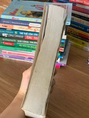 Gió mang ký ức thổi thành những cánh hoa – Diệp Lạc Vô Tâm - ảnh 3