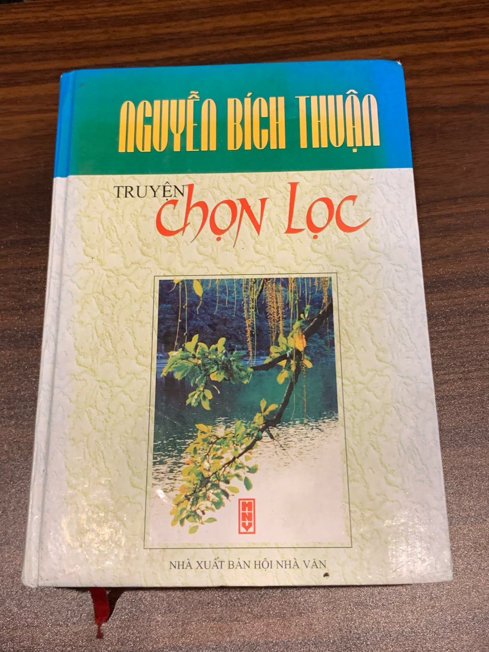 Truyện chọn lọc – Nguyễn Bích Thuận