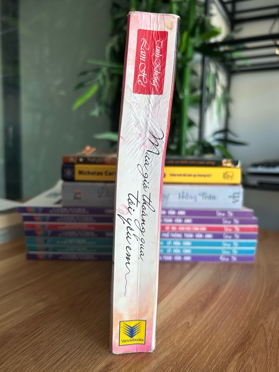 Mùa gió thoảng qua, tôi yêu em - Tinh Không Lam Hề