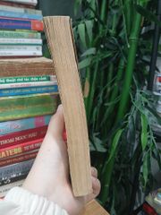 Một Giọt Sương - Vlađimia Xôlôvkhin - NXB Tác Phẩm Mới - ảnh 4