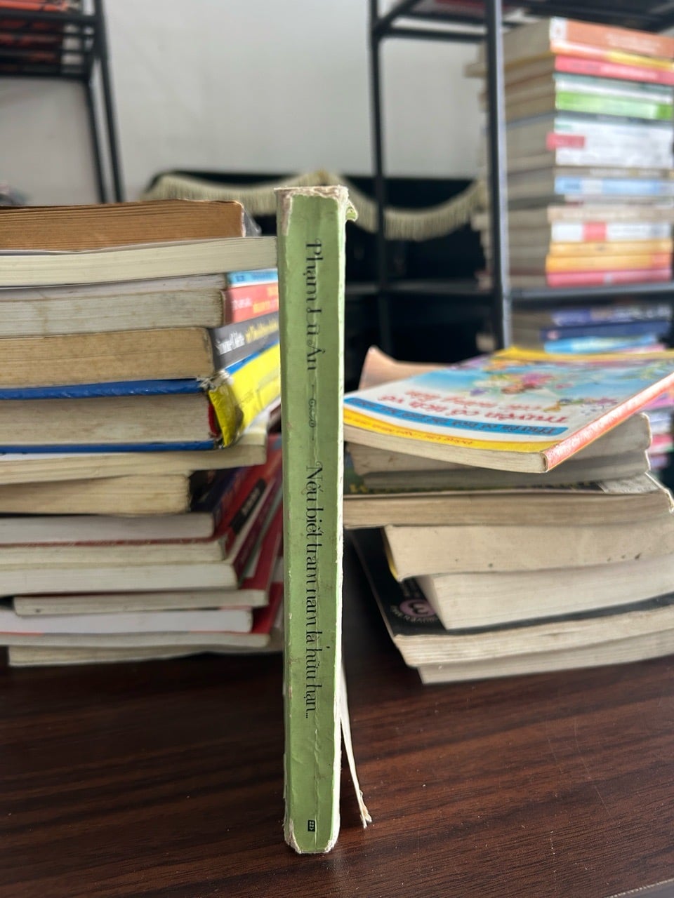 Nếu biết trăm năm là hữu hạn- Phạm Lữ Ân