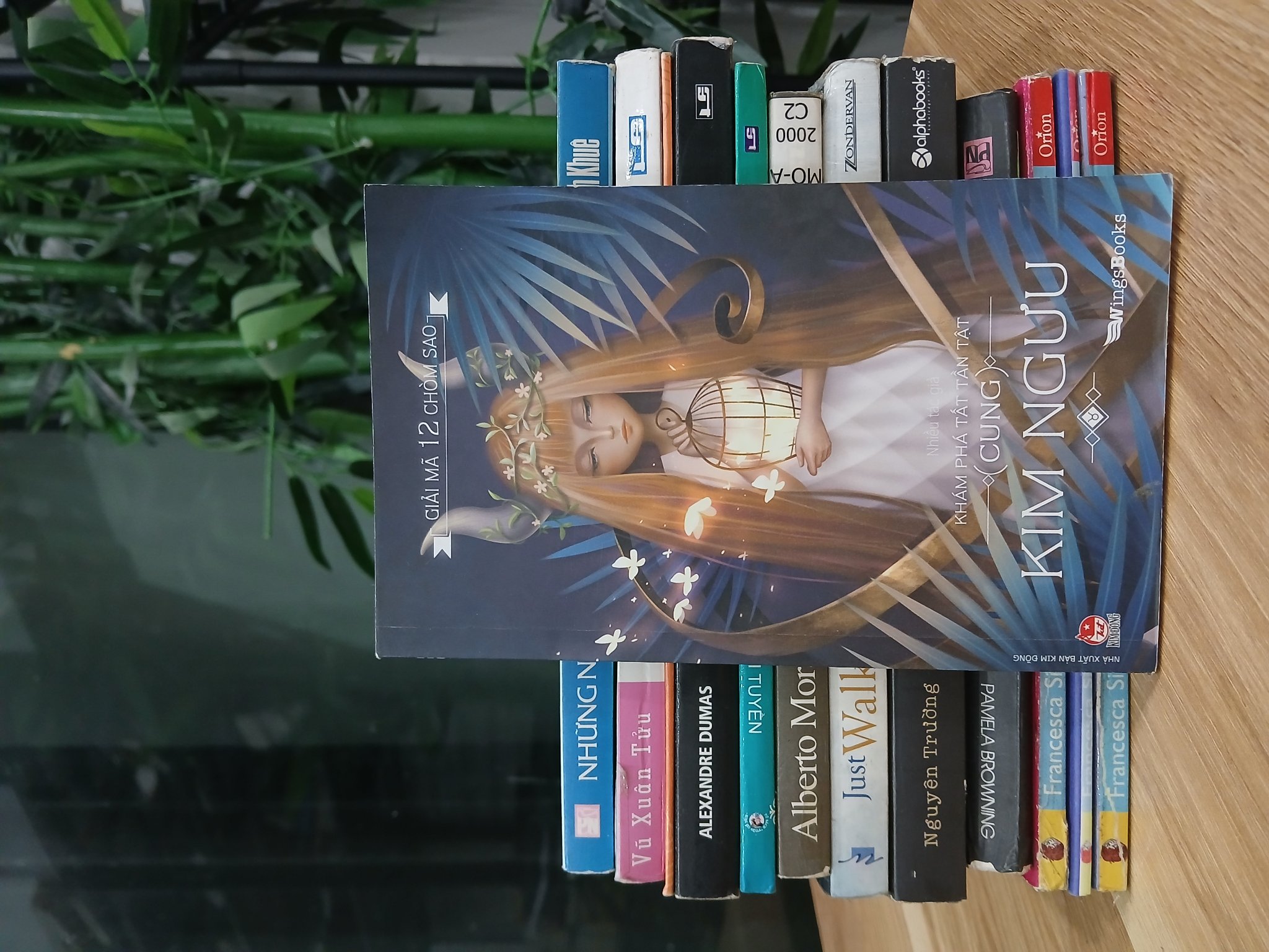 Giải mã 12 chòm sao – Khám phá tất tần tật cung Kim Ngưu – NXB Kim Đồng