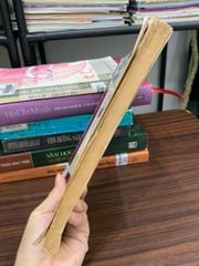 Nghĩ về thơ Hồ Xuân Hương – GS Lê Trí Viễn - ảnh 3