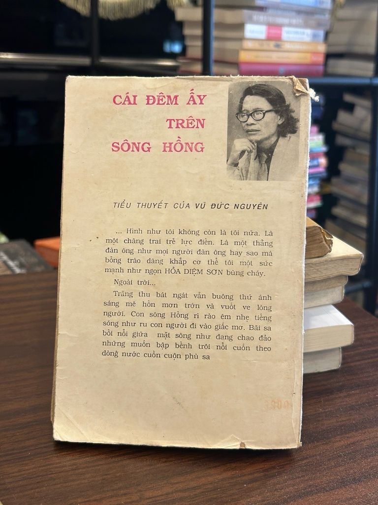 Cái đêm ấy trên Sông Hồng- Vũ Đức Nguyên - Ảnh thực tế 3