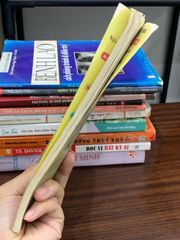 Phương pháp thực dưỡng Ohsawa – Quách Văn Mích - ảnh 3