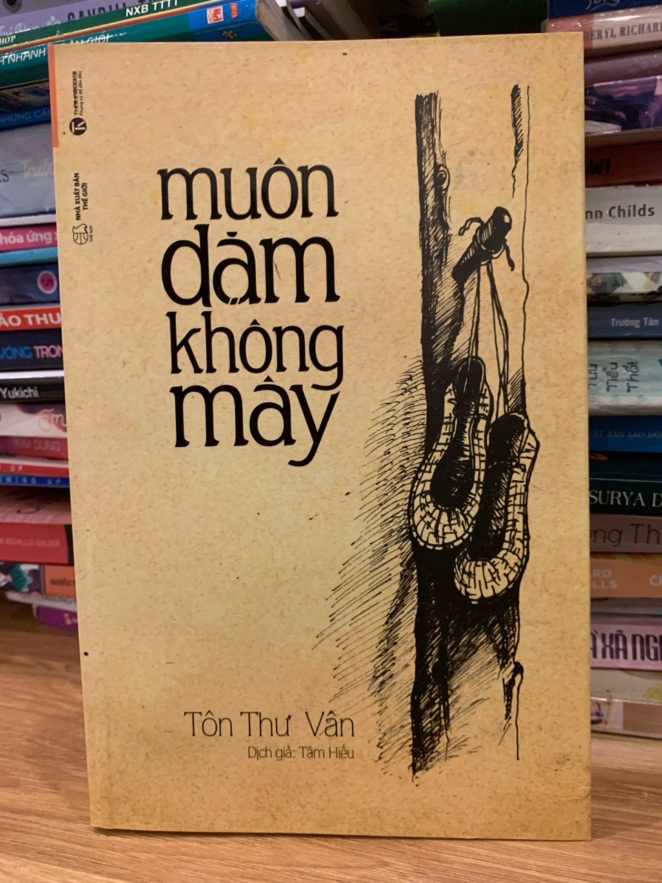 Muôn dặm không mây -Tôn Thư Vân