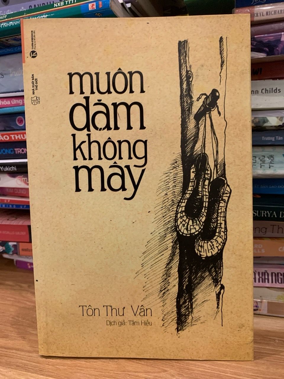 Muôn dặm không mây -Tôn Thư Vân