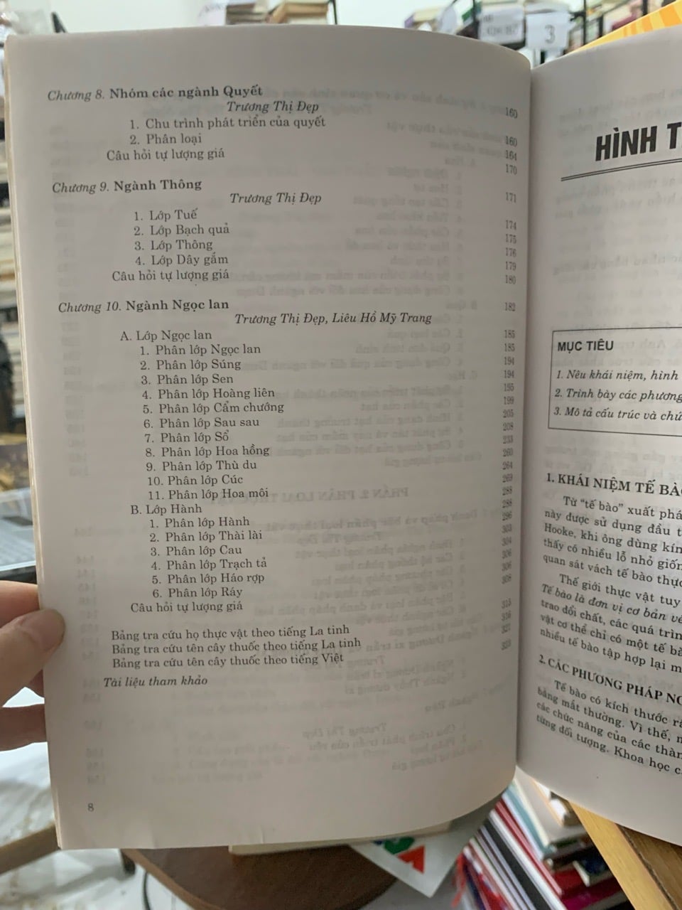 Hình ảnh 4