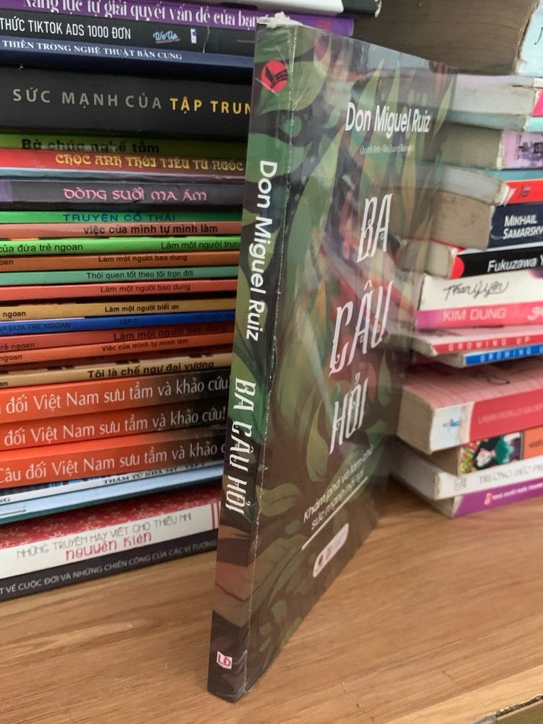 Ba câu hỏi -Don Miguel Ruiz - Ảnh chụp thực tế