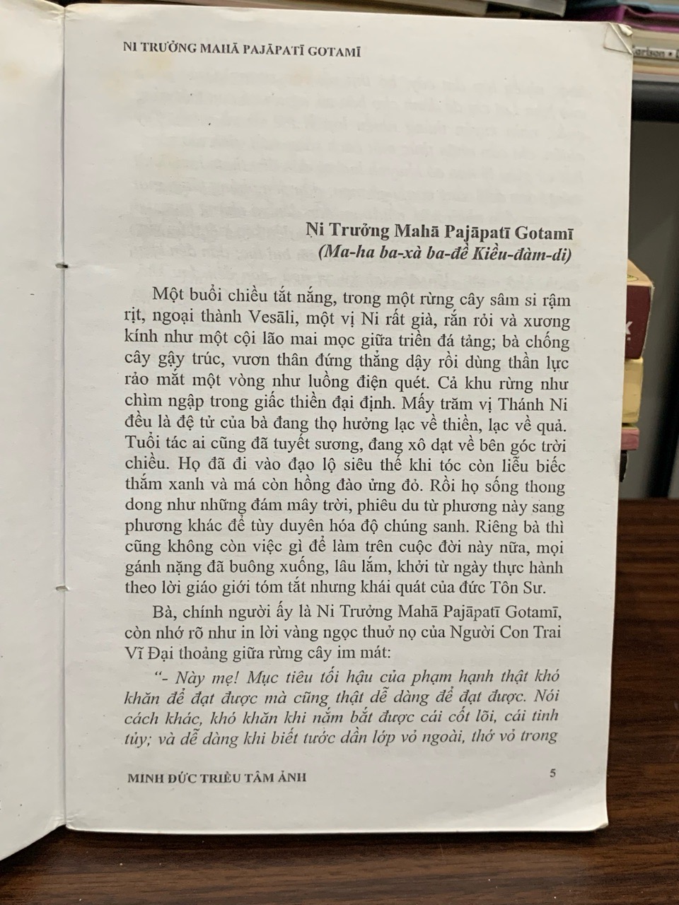 Con gái Đức Phật — Minh Đức Triều Tâm Ảnh