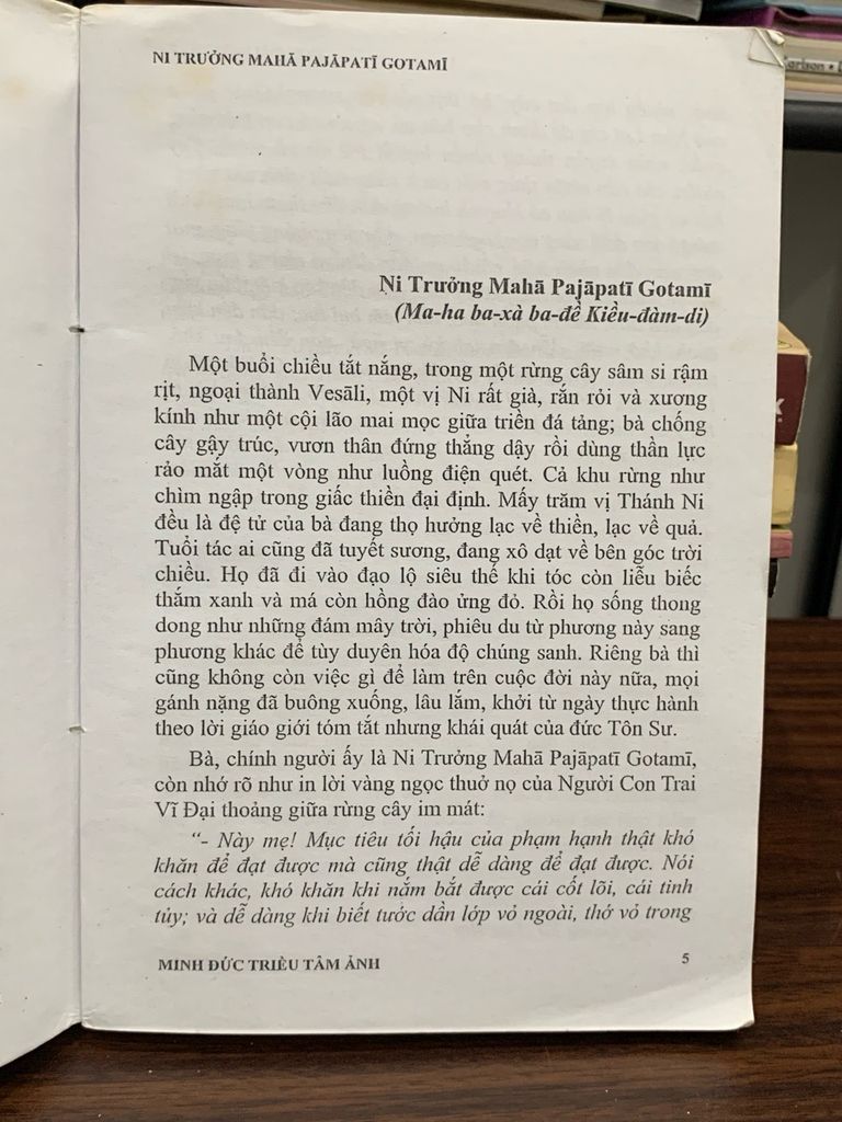 Con gái Đức Phật — Minh Đức Triều Tâm Ảnh - Ảnh thực tế 3