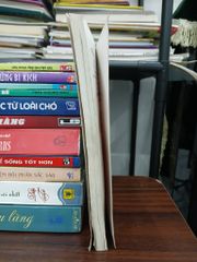 Điều bí mật lớn nhất thế giới – Og Mandino - ảnh 4